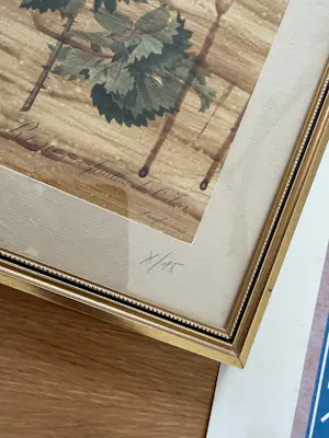 Leo Copers - Rosa kaufen? Bieten Sie von 50!