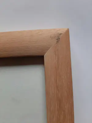 Alexander Lichtveld - Aquarel, Paus. kopen? Bied vanaf 40!