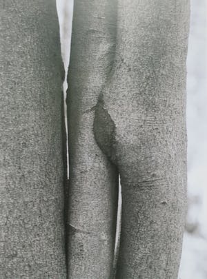 Gerard van Soest - foto - 2005 kopen? Bied vanaf 35!