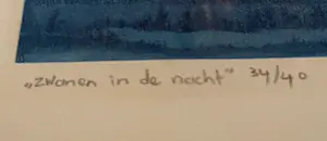 Laetitia de Haas - Zwanen in de nacht kopen? Bied vanaf 45!
