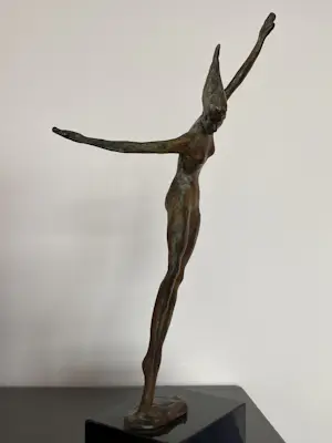 Corry Ammerlaan - Vreugdedans kopen? Bied vanaf 119!