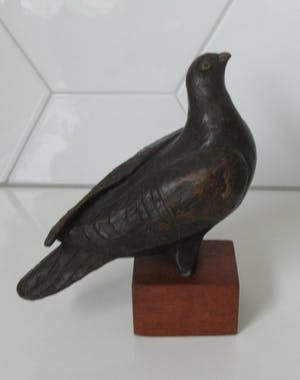 Niet of onleesbaar gesigneerd - Plastiek van een bronzen Duif op teakhouten sokkel kopen? Bied vanaf 10!