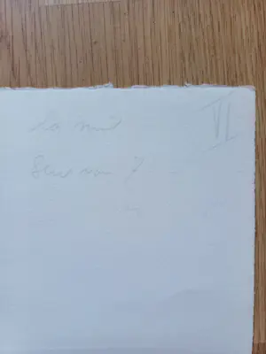 Eduard Flor - La Nuit kopen? Bied vanaf 30!