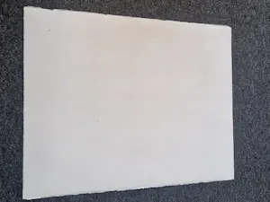 Hannes Postma - Grote handgekleurde reliëf Ets - 1966 - proefdruk exemplaar "Narcissus" kopen? Bied vanaf 47!