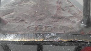 Corry Ammerlaan - Jubelend drietal kopen? Bied vanaf 21!