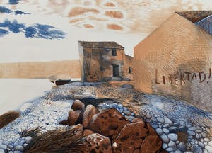 Nicolaas Wijnberg - kleurenlitho - 'Libertad!' - 1983 - Oplage slechts 24 stuks! kopen? Bied vanaf 75!