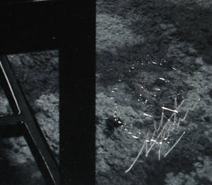 Nico Koster - Foto, Portret van David Bowie met zijn zoon in het Amstel Hotel in 1973 kopen? Bied vanaf 120!