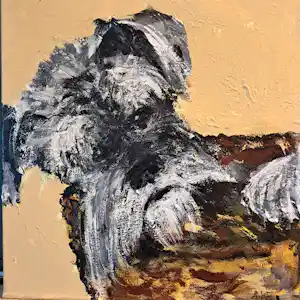 Anke Peddemors - Hond schnauzer verkauft für € 35!