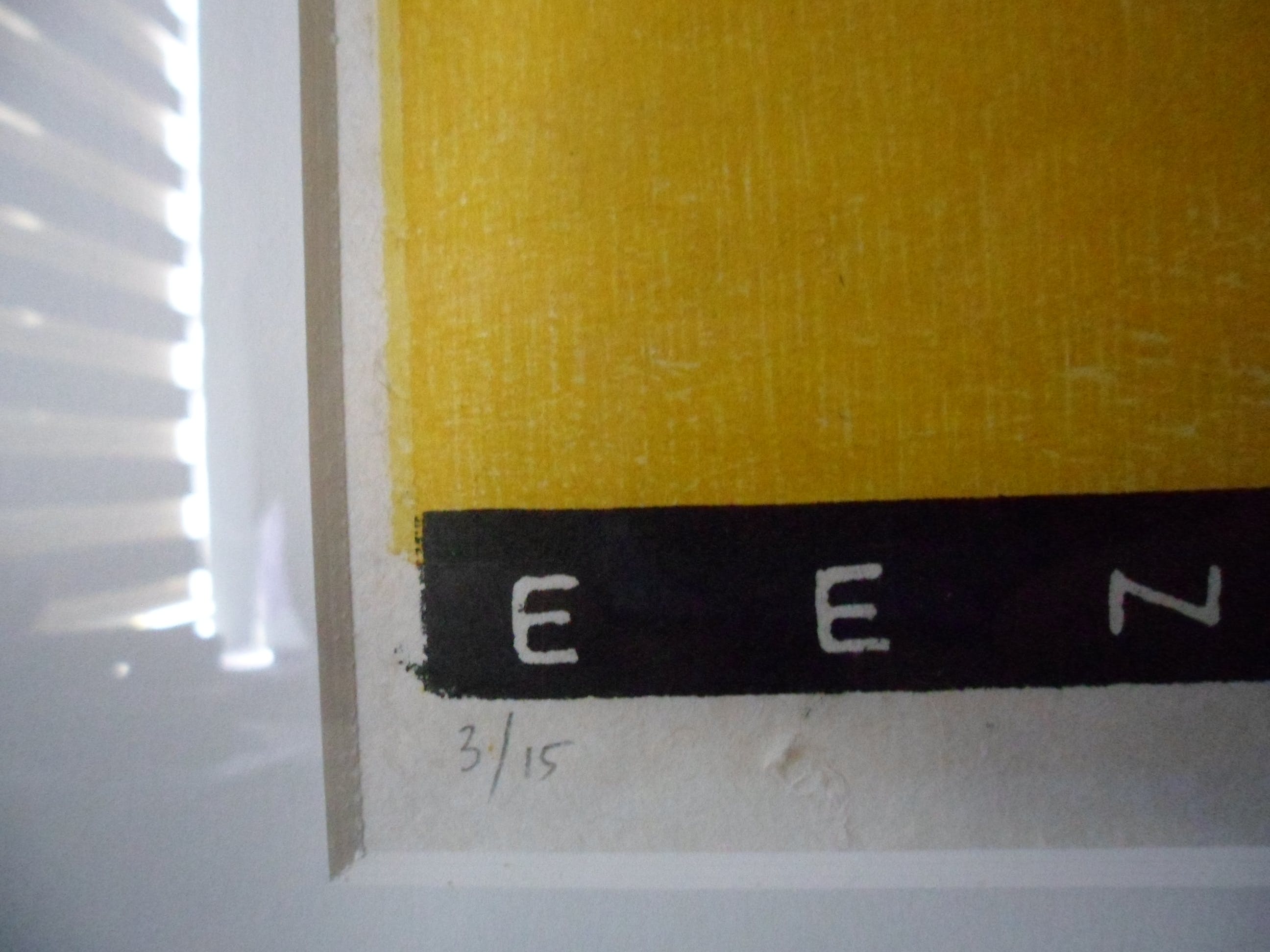 Tom Thijsse - Houtsnede, titel: "Een kreet van honderd jaar" 1995 kopen? Bied vanaf 30!