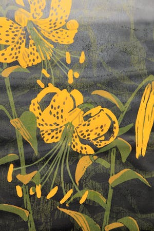 Dianne Bakker - Onleesbaar kopen? Bied vanaf 35!