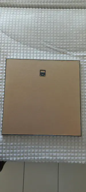 Kees Salentijn - Kater kopen? Bied vanaf 50!