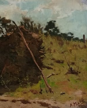 Adrianus Miolee - Het Naaldenveld kopen? Bied vanaf 160!