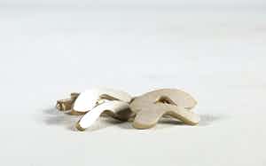 Jantine Koeze - Zilveren manchetknopen verkocht voor € 1!