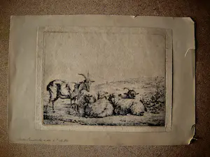 Niet of onleesbaar gesigneerd - Magnifieke 17e eeuwse (1680) Ets "Schappen en Bokken" niet ingelijst kopen? Bied vanaf 1!