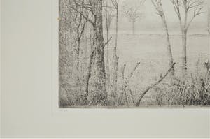 Charles Donker - Winterlanschap in Rhijnauwen, snel dalende kauwen kopen? Bied vanaf 200!