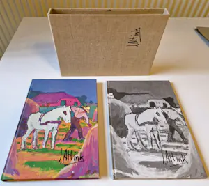 Jan Altink - Gottmer en Becht Haarlem in 1978 uitgegeven standaardwerk incl. stofhoes kopen? Bied vanaf 1!