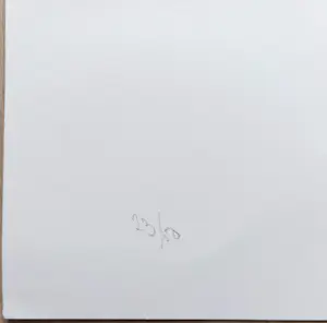 Joost Baljeu - Structures, zeefdruk (groot) kopen? Bied vanaf 150!