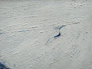 Ingeborg ten Hoopen - Schilderij met structuur. Blauw met wit kopen? Bied vanaf 500!