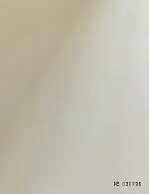 Roger Raveel - Onbekend kopen? Bied vanaf 85!