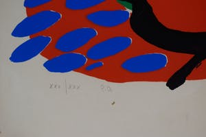 Anton Rooskens - Litho - Birds - 1973 kopen? Bied vanaf 695!