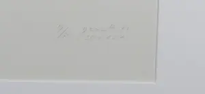 Yvonne Kracht - Zeefdruk, SII - Ingelijst kopen? Bied vanaf 150!