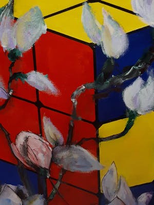 Anke Peddemors - contrast kopen? Bied vanaf 50!