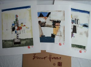 Bruno Haas - Map met 3 zeefdrukken – 1999 - oplage 10 ex. kopen? Bied vanaf 75!
