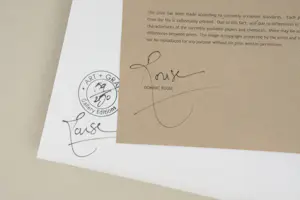 Dominic Rouse - 'Chimera Obscura' (1997) kopen? Bied vanaf 85!