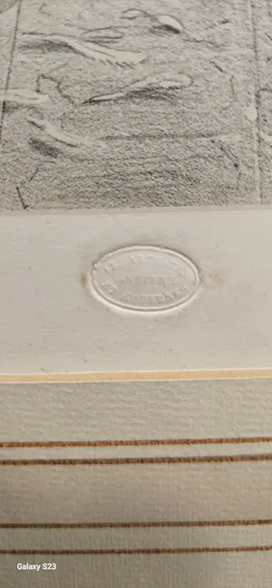 Celestin Nanteuil - Nanteuil lebouf dit nanteuil Ils y laissent leurs plumes kopen? Bied vanaf 100!