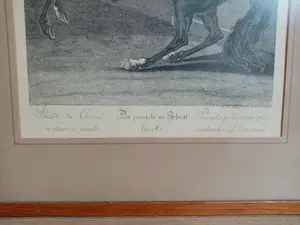 Johann Elias Ridinger - Die parade im Schritt links - Gravure kopen? Bied vanaf 49!