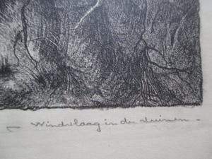 Ruurd van den Berg - Litho "Windvlaag in de duinen" kopen? Bied vanaf 25!