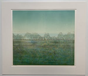 Willem de Vries - houtsnede | 'Naardermeer' | 1986 kopen? Bied vanaf 70!