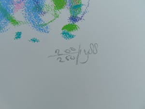 Niet of onleesbaar gesigneerd - Fruit kopen? Bied vanaf 1!