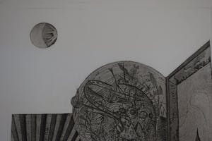 Jan Vaatstra - Ets - " Wrong Evolution " kopen? Bied vanaf 40!