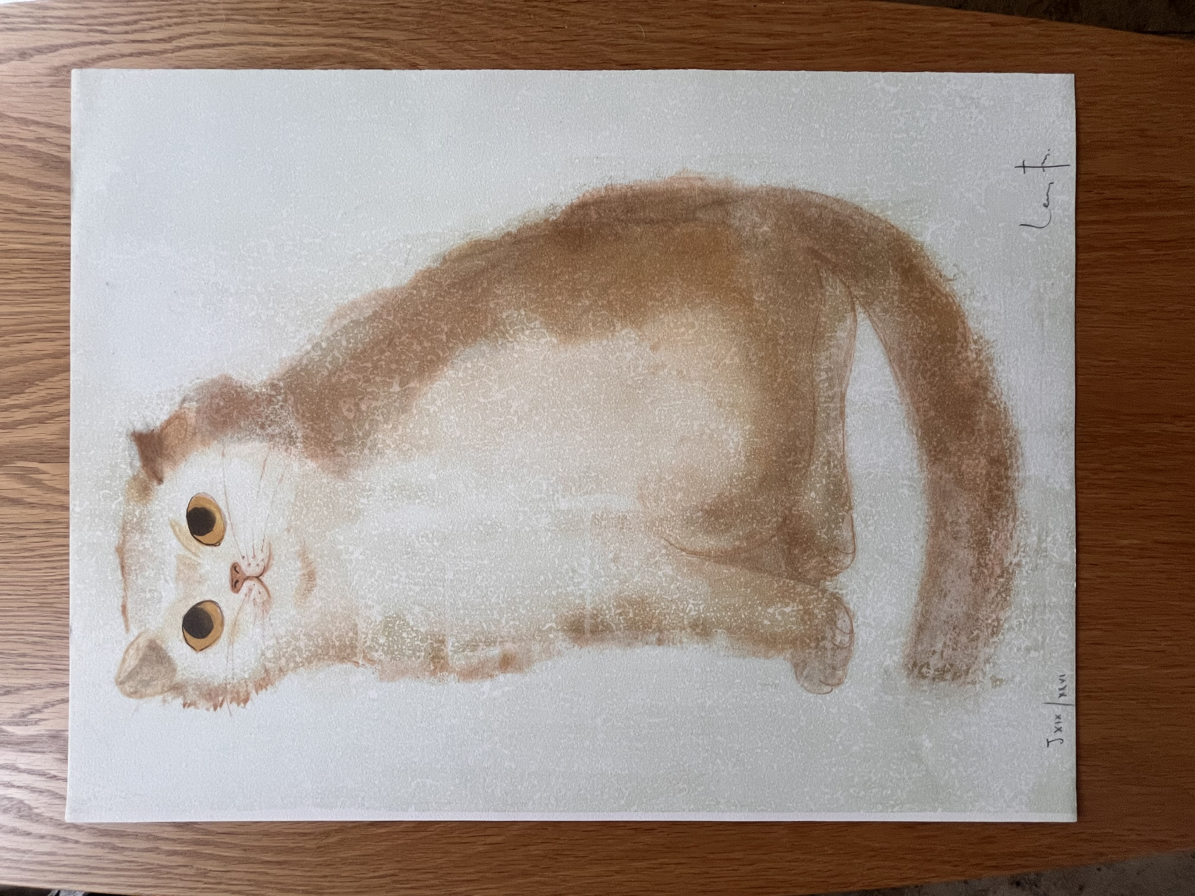 AcheterLeonor Fini - Prachtige gesigneerde litho - "Livre d'Images" - 1971 - XIX/XXVI? Enchérissez de 75!