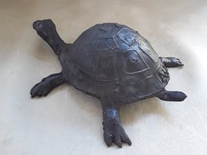 Adri de Waard - Bronzen schildpad van beeldhouwer Adri de Waard. kopen? Bied vanaf 55!