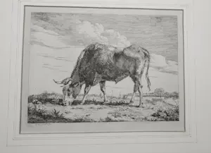 Pieter Gerardus Van Os - Grazende koe bij een rivier kopen? Bied vanaf 65!