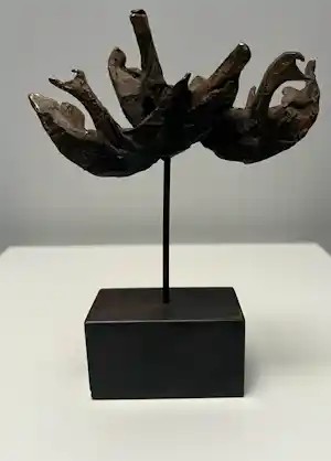 Bernadette Leijdekkers - Bronzen sculptuur | Wilde zwanen verkocht voor € 90!