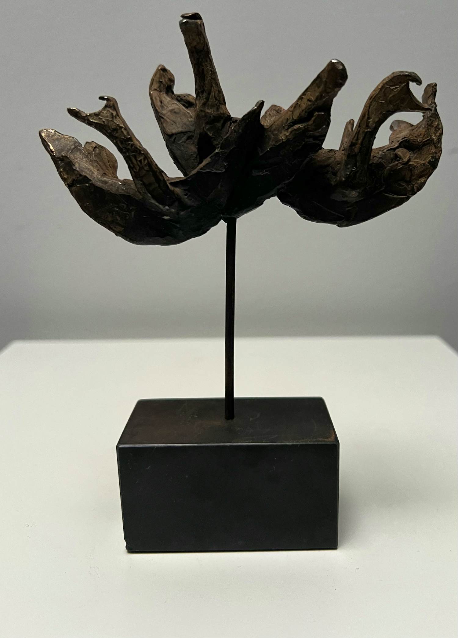 Bernadette Leijdekkers - Bronzen sculptuur | Wilde zwanen kopen? Bied vanaf 90!