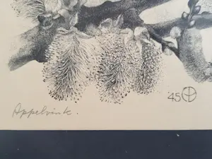 Aart van Dobbenburgh - Appelvink kopen? Bied vanaf 75!