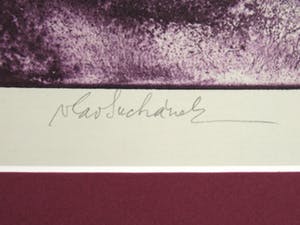 Vladimir Suchanek - Kan met Vrouwenhoofd in de Wolken kopen? Bied vanaf 35!