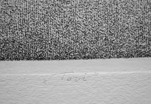 Gerard van Rooy - Tooi (vlg. van Dale: opschik, versiering) kopen? Bied vanaf 50!