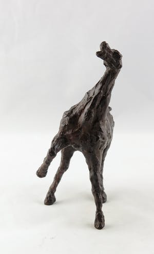 Annette Koek - Brons, Paard kopen? Bied vanaf 350!