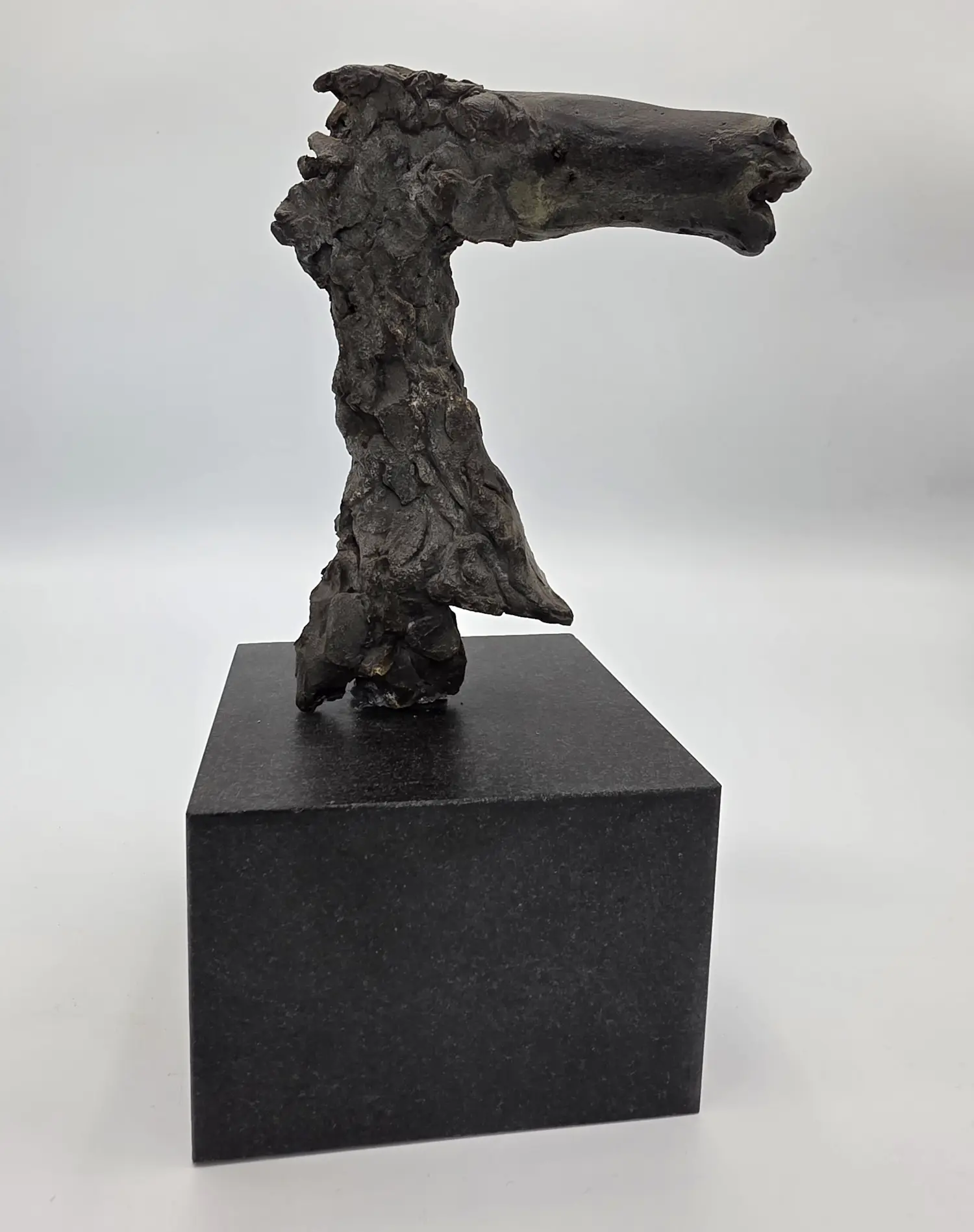 Theo van der Nahmer (1917-1989)