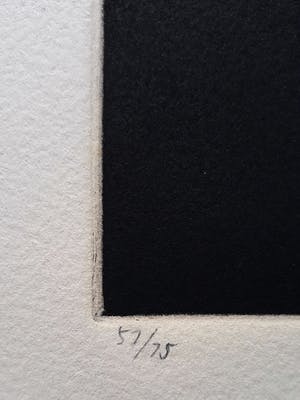 Tomoe Yokoi - Kaki, aquatint ets kopen? Bied vanaf 75!