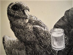 Peter Vos - bekend Utrechts Graficus & illustrator - Litho - "Oude man & uil" - VANAF 10€!!! kopen? Bied vanaf 10!