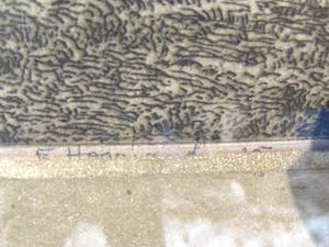 Frans Hogerwaard - Bomen kopen? Bied vanaf 100!