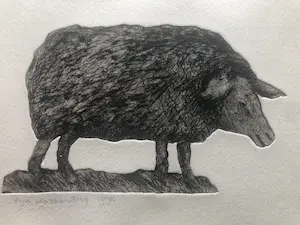 Arja van den Berg - Schaap kopen? Bied vanaf 35!