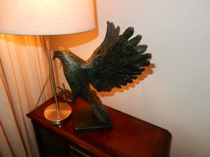 Staf Timmers - opvliegende vogel. kopen? Bied vanaf 500!