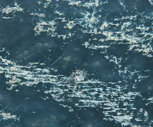 Eta Bender - Gemengde techniek op doek, Citroen - Ingelijst kopen? Bied vanaf 1!